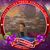 Lindsey A. Walker's profile image