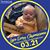 Andy Werner's profile image