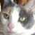 Delores Campbell's profile image