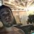 Neal Jimenez's profile image
