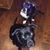 Vicki Makovec's profile image