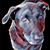 Niki Morlan Bassett's profile image