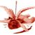 Obed Conde's profile image