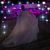 Carlo Lima's profile image