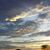 Susanna Hayes-Isaacson's profile image