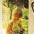Lynn Rued's profile image