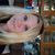 Teresa Nickell's profile image