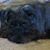 Sandy Ragan's profile image