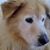 Tina Marie's profile image