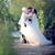 TC Rafi Lavinia Beren's profile image
