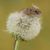 Jo Ingram's profile image