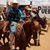 Brayan Torres's profile image