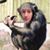 Scott Benjaminson's profile image