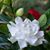 Patsy Horton Dodd's profile image