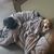 Andy Pouchnik's profile image