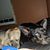 Robyn Lorenz's profile image