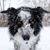 Brenda Clippard's profile image