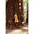 Darri Resch's profile image