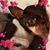 Jeanie Crowley's profile image
