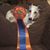 Debbie Hill's profile image