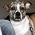 Susan Q Holland's profile image