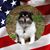 Marj DeBoef's profile image