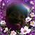 Frankye Flowers's profile image
