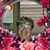 Susie Hardy's profile image