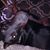 Cheryl Martin's profile image