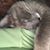 Candi Moreland's profile image