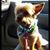 Ellen Noreen's profile image