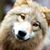 Jim Morales's profile image