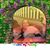 Lisa Pereira's profile image