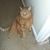 Pamela Lathram's profile image