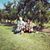 Lisabeth Cachola Mantz's profile image