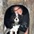 Sundi Schultz Pierce's profile image