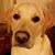 Becky Unger's profile image