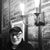 Adlai Calman's profile image