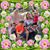 Cornelia Sims Rappoport's profile image