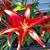 Lynnell Simonson Popowski's profile image