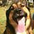 Joe D'Agostino's profile image