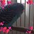 Debora Taylor Dancler's profile image