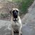 Nancy Britt's profile image
