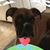Tina Bonanno's profile image