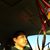 Luis Rodriguez's profile image