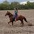 Clarissa Renteria's profile image
