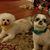 Linda Patrick Groover's profile image