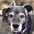 Todd Rinder's profile image