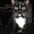 Linda Landers's profile image