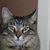 Barbara Maslen's profile image